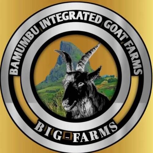 Big farms logo